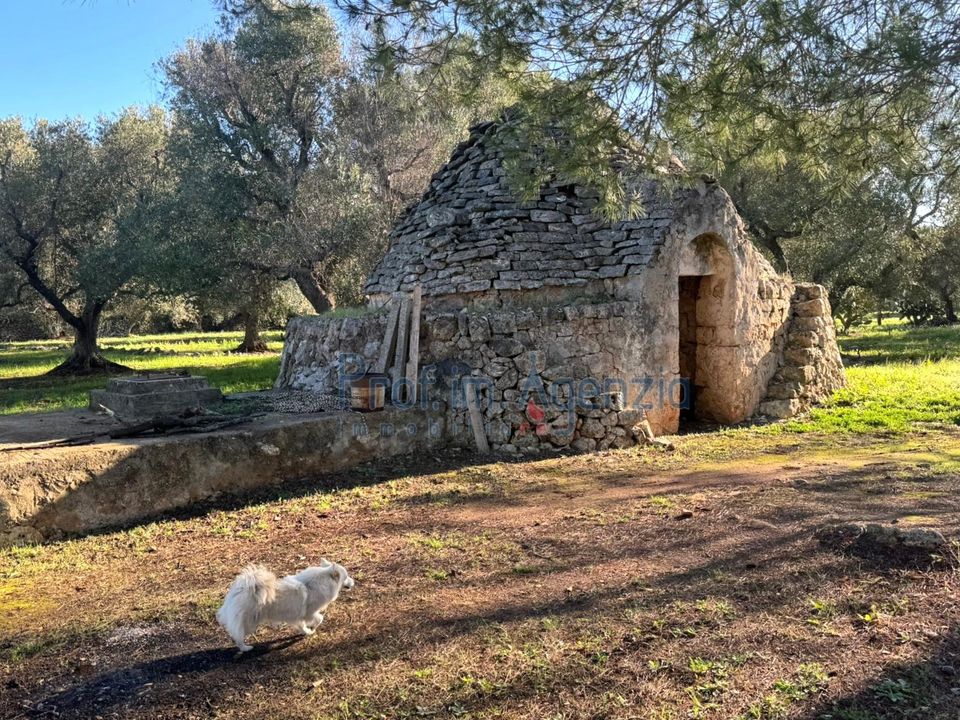 Landejendom i Ostuni, Brindisi - foto 4